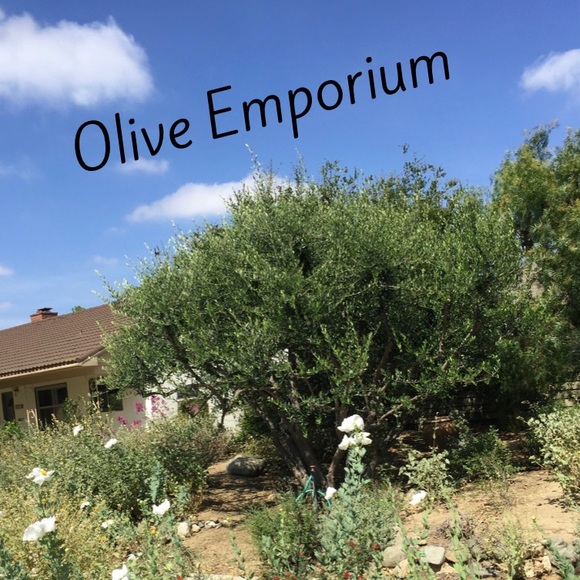 oliveemporium